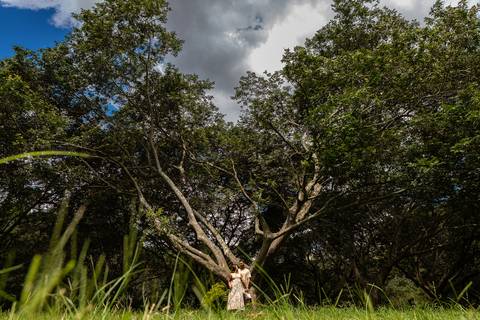 As melhores ideias e inspirações criativas de fotos para ensaio pré wedding no parque Vila Lobos - SP'