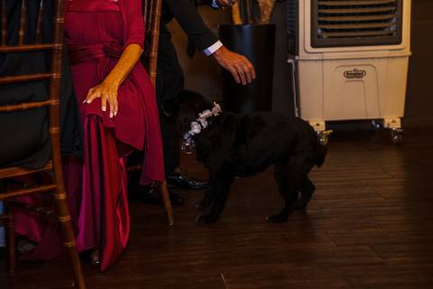 As melhores ideias e inspirações criativas de fotos dos noivos no Espaço Napoleão Buffet - São Bernardo do Campo'