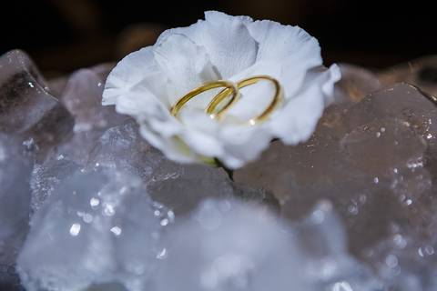 As melhores ideias e inspirações criativas de fotos dos noivos no Espaço Napoleão Buffet - São Bernardo do Campo'