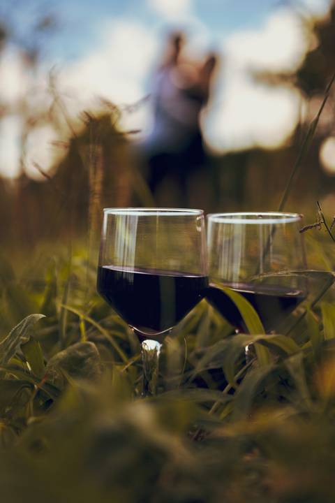 As melhores ideias e inspirações criativas de fotos para ensaio pré wedding na vinícola Bella Aurora em São Roque
'