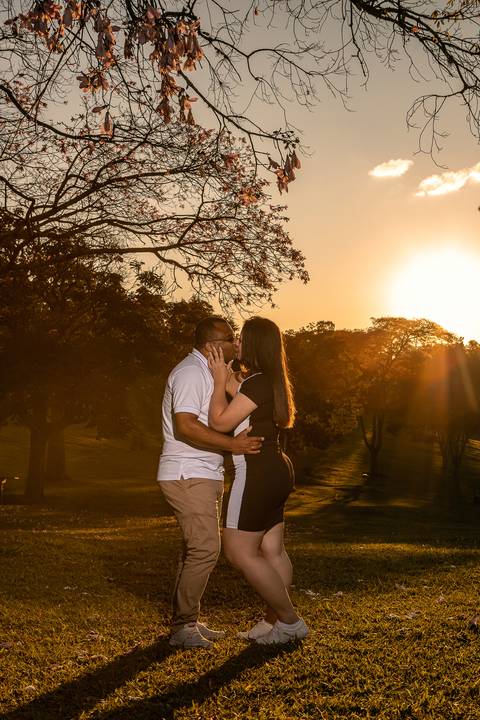 As melhores ideias e inspirações criativas de fotos para ensaio pré wedding no parque Cemucam - Cotia'
