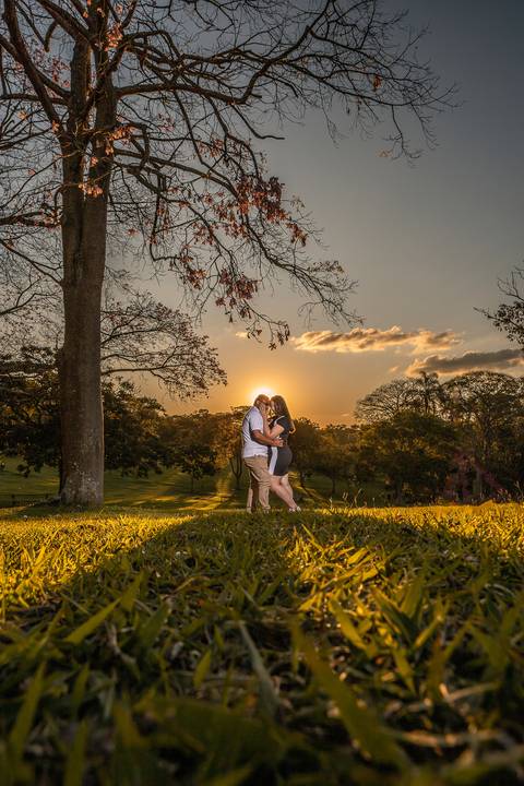 As melhores ideias e inspirações criativas de fotos para ensaio pré wedding no parque Cemucam - Cotia'