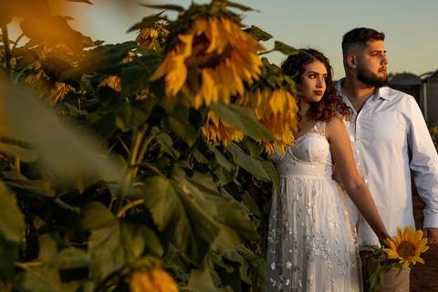 As melhores ideias e inspirações criativas de fotos para ensaio pré wedding na Cidade das Flores - Holambra'