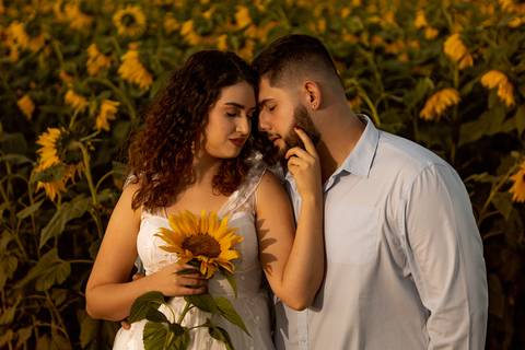 As melhores ideias e inspirações criativas de fotos para ensaio pré wedding na Cidade das Flores - Holambra'
