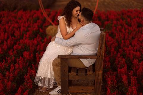 As melhores ideias e inspirações criativas de fotos para ensaio pré wedding na Cidade das Flores - Holambra'