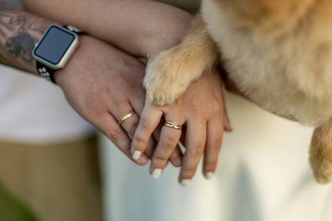 As melhores ideias e inspirações criativas de fotos para ensaio pré wedding com o pet no parque Jardim Botânico - SP'