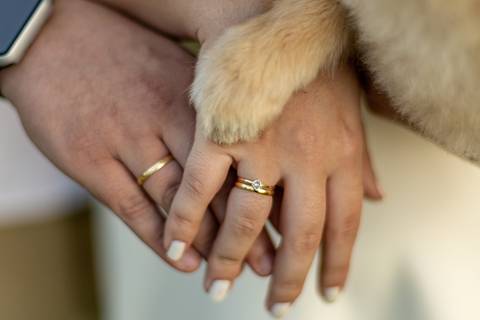 As melhores ideias e inspirações criativas de fotos para ensaio pré wedding com o pet no parque Jardim Botânico - SP'
