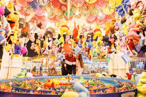 As melhores ideias e inspirações criativas de fotos para ensaio pré wedding no Parque de Diversões'