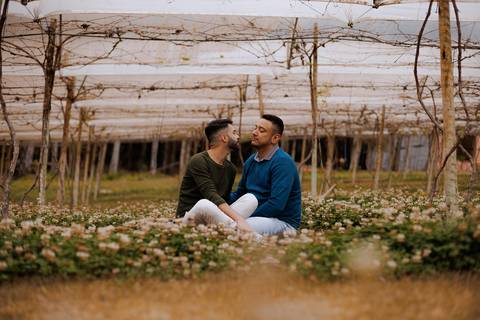 As melhores ideias e inspirações criativas de fotos para ensaio pré wedding na Vinícola XV de Novembro em São Roque '