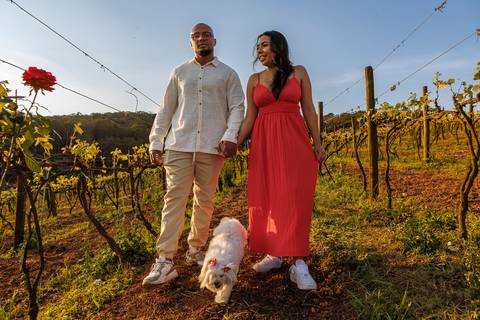 As melhores ideias e inspirações criativas de fotos para ensaio pré wedding na Vinícola em São Roque'