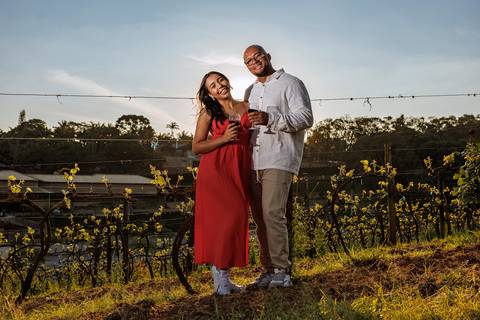 As melhores ideias e inspirações criativas de fotos para ensaio pré wedding na Vinícola em São Roque'