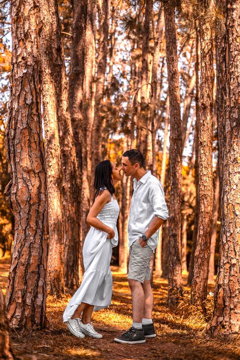 As melhores ideias e inspirações de fotos criativas para ensaio pré wedding no Parque do Ibirapuera'
