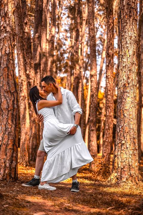 As melhores ideias e inspirações de fotos criativas para ensaio pré wedding no Parque do Ibirapuera'