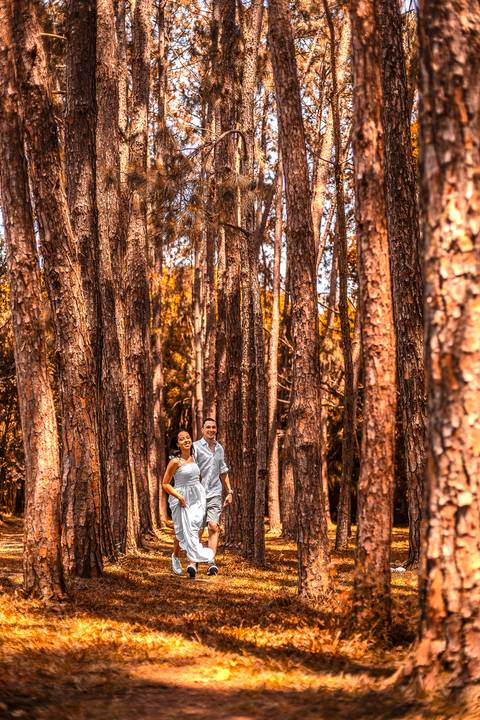 As melhores ideias e inspirações de fotos criativas para ensaio pré wedding no Parque do Ibirapuera'
