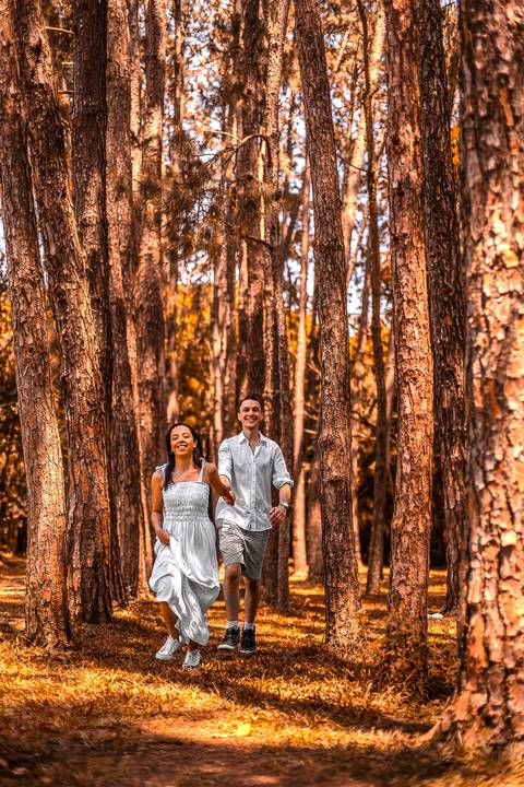 As melhores ideias e inspirações de fotos criativas para ensaio pré wedding no Parque do Ibirapuera'