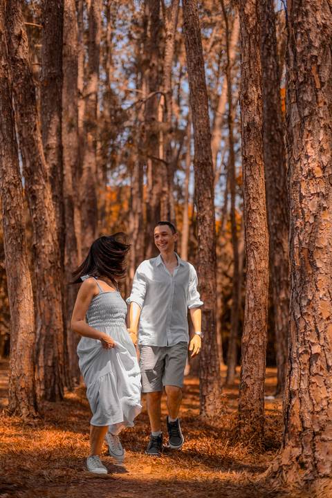 As melhores ideias e inspirações de fotos criativas para ensaio pré wedding no Parque do Ibirapuera'