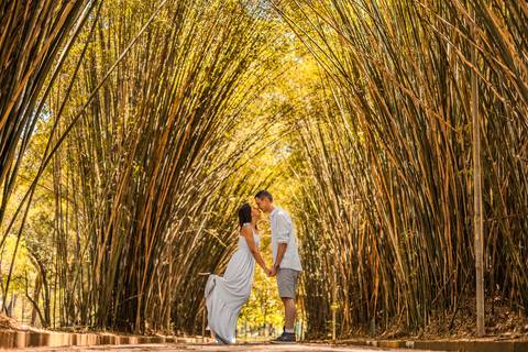 As melhores ideias e inspirações de fotos criativas para ensaio pré wedding no Parque do Ibirapuera'
