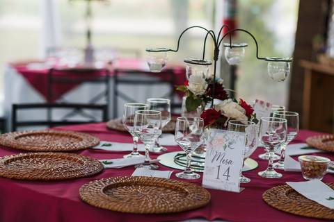 As melhores ideias e inspirações criativas de fotos da recepção do espaço Verde Nobre Eventos'