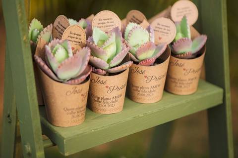 As melhores ideias e inspirações criativas de fotos da decoração'