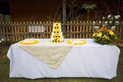 As melhores ideias e inspirações criativas de fotos da mesa do bolo'