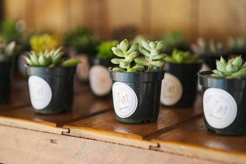 As melhores ideias e inspirações criativas de fotos de casamento da decoração na chácara Porto Fest'