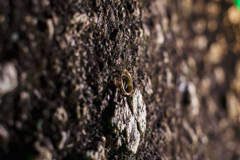 As melhores ideias e inspirações criativas de fotos de casamento no Espaço Maranata'
