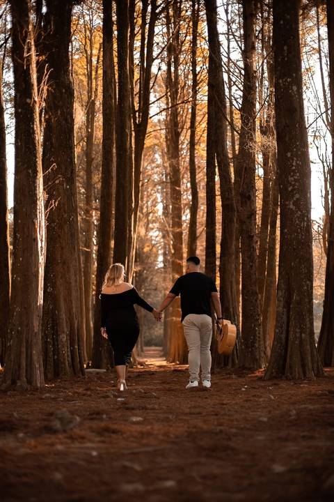 As melhores ideias e inspirações criativas de fotos de ensaio pré wedding no parque Horto Florestal'