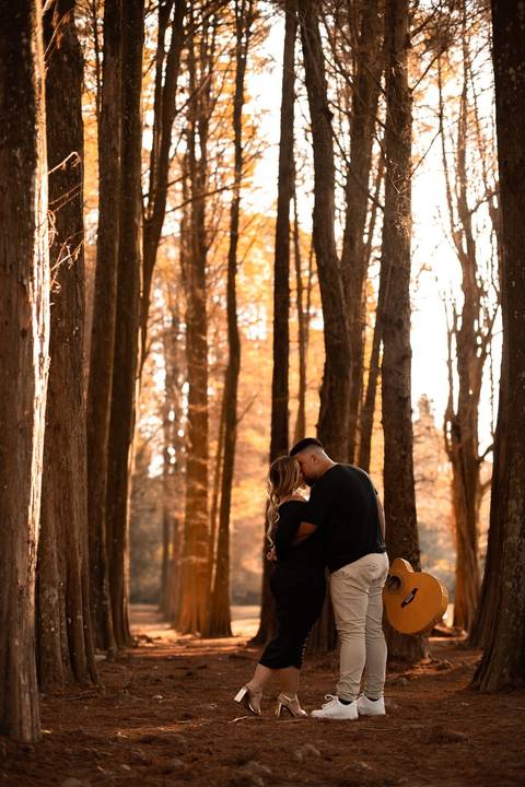 As melhores ideias e inspirações criativas de fotos de ensaio pré wedding no parque Horto Florestal'