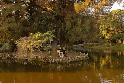 As melhores ideias e inspirações criativas de fotos de ensaio pré wedding no parque Horto Florestal'