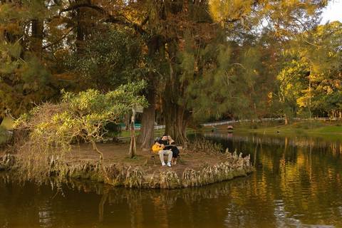 As melhores ideias e inspirações criativas de fotos de ensaio pré wedding no parque Horto Florestal'