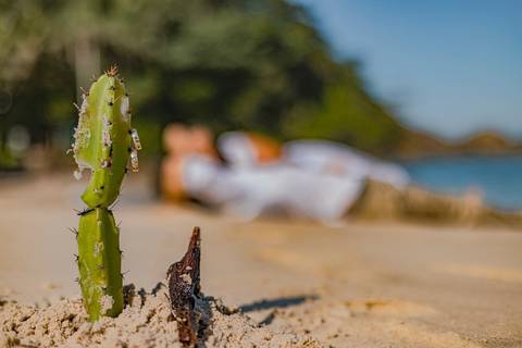 As melhores ideias e inspirações criativas de fotos de ensaio pré wedding na Praia do Guarujá'