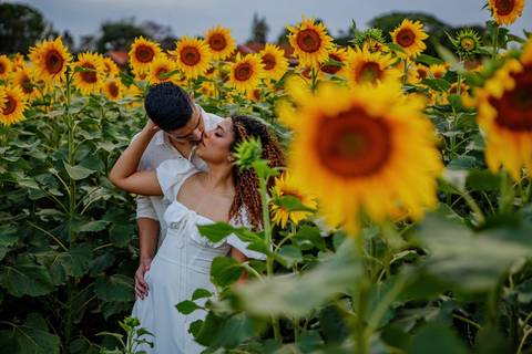 As melhores ideias e inspirações criativas de fotos de ensaio pré wedding em Holambra nas Cidades das Flores'