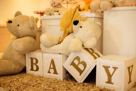 As melhores ideias e inspirações criativas de fotos de Chá de Bebê'