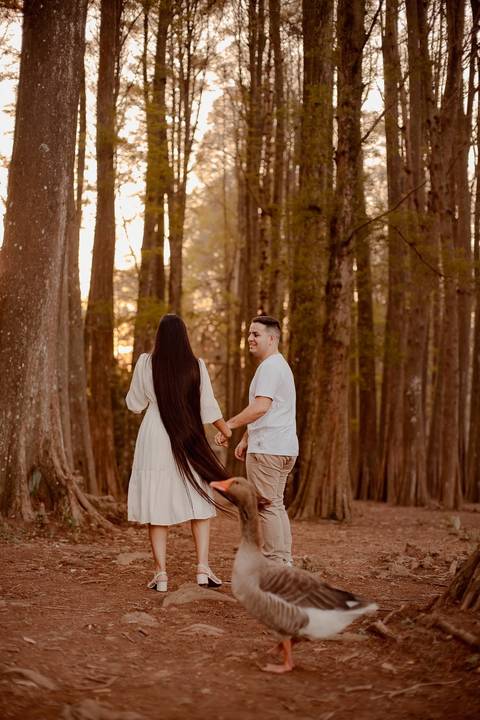 As melhores ideias e inspirações criativas de fotos de ensaio pré wedding no Parque Horto Florestal'