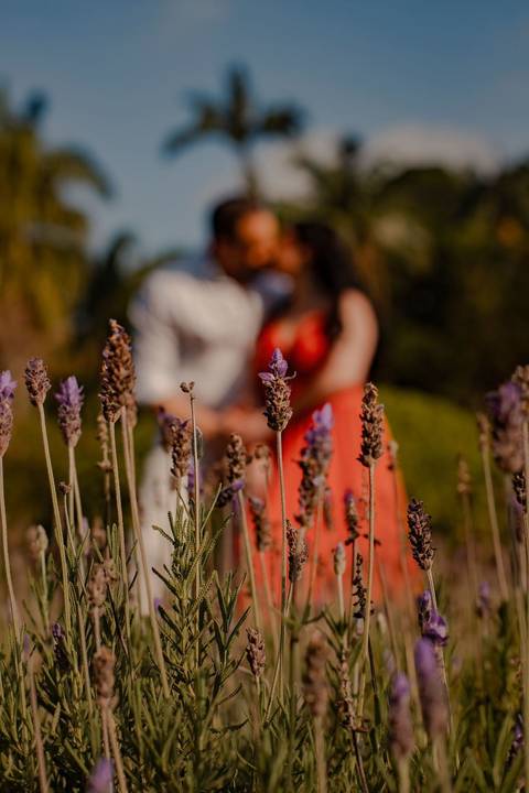 As melhores ideias e inspirações criativas de fotos de ensaio pré wedding no Jardim Botânico'