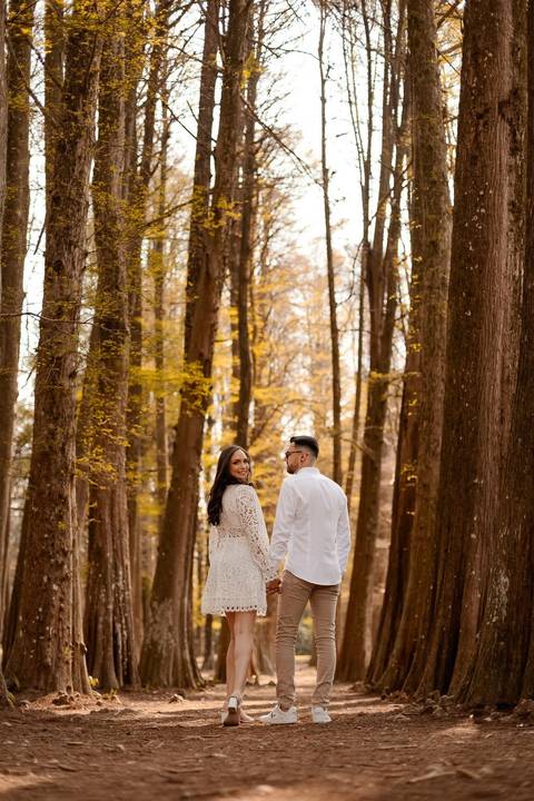 As melhores ideias e inspirações criativas de fotos de ensaio pré wedding no Parque Horto Florestal'