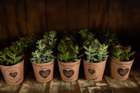 As melhores ideias e inspirações criativas de fotos de casamento registradas por fotógrafos profissionais de eventos da empresa Criativus Foto e Vídeo no Espaço Nelial: Fotos da decoração'