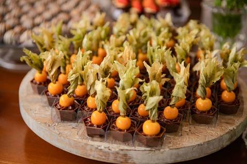 As melhores ideias e inspirações criativas de fotos de casamento registradas por fotógrafos profissionais de eventos da empresa Criativus Foto e Vídeo no espaço Chácara Picovinho'