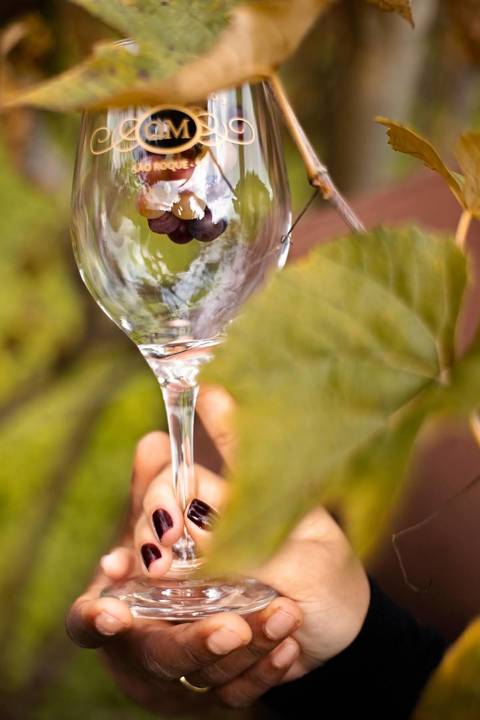 As melhores ideias e inspirações criativas de fotos de ensaio pré casamento registradas por fotógrafos profissionais de eventos da empresa Criativus Foto e Vídeo na Vinícola XV de Novembro em São Roque'