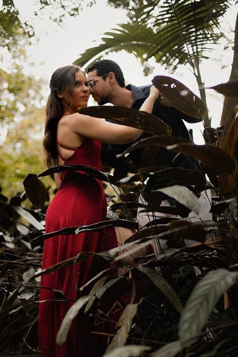 As melhores ideias e inspirações criativas de fotos de ensaio pré casamento registradas por fotógrafos profissionais de eventos da empresa Criativus Foto e Vídeo no  Jardim Botânico '