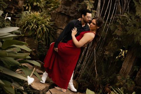 As melhores ideias e inspirações criativas de fotos de ensaio pré casamento registradas por fotógrafos profissionais de eventos da empresa Criativus Foto e Vídeo no  Jardim Botânico '