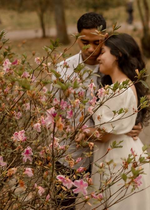 As melhores ideias e inspirações criativas de fotos de ensaio pré casamento registradas por fotógrafos profissionais de eventos da empresa Criativus Foto e Vídeo no  Jardim Botânico'