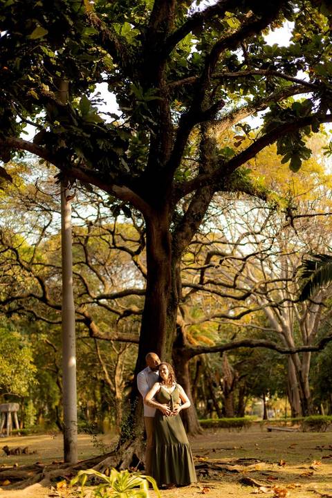 As melhores ideias e inspirações criativas de fotos de ensaio pré casamento registradas por fotógrafos profissionais de eventos da empresa Criativus Foto e Vídeo no  Parque da Luz'