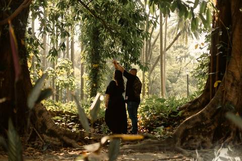 As melhores ideias e inspirações criativas de fotos de ensaio pré casamento registradas por fotógrafos profissionais de eventos da empresa Criativus Foto e Vídeo no  Parque da Luz - SP'