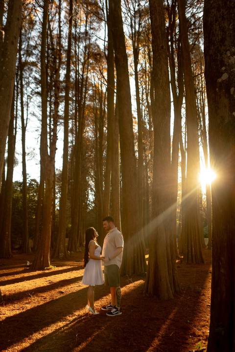 As melhores ideias e inspirações criativas de fotos de ensaio pré casamento registradas por fotógrafos profissionais de eventos da empresa Criativus Foto e Vídeo no Academia Gaviões e Horto Florestal'