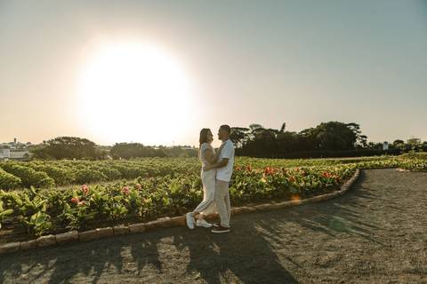 As melhores ideias e inspirações criativas de fotos de ensaio pré casamento registradas por fotógrafos profissionais de eventos da empresa Criativus Foto e Vídeo na cidade de Holambra  '
