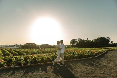 As melhores ideias e inspirações criativas de fotos de ensaio pré casamento registradas por fotógrafos profissionais de eventos da empresa Criativus Foto e Vídeo na cidade de Holambra  '