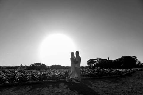As melhores ideias e inspirações criativas de fotos de ensaio pré casamento registradas por fotógrafos profissionais de eventos da empresa Criativus Foto e Vídeo na cidade de Holambra  '