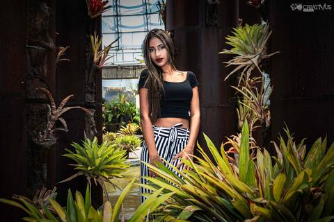 Inspiração ideias criativas de Fotos fotográfico pré ensaio de 15 anos no Parque Villa Lobos'