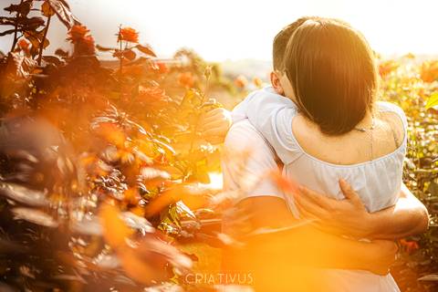 Inspiração e ideias criativas  ensaio fotográfico pré casamento de casal Holambra'